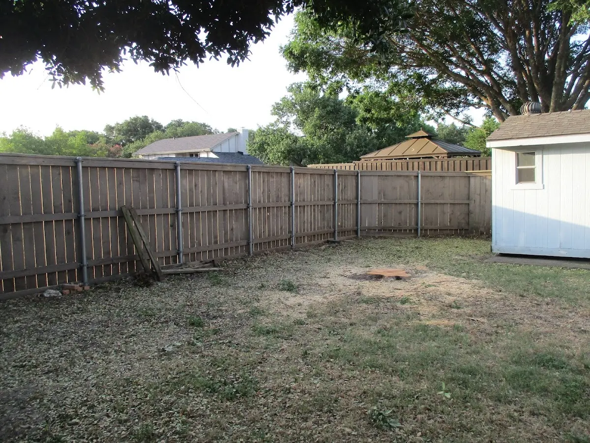 Cleared yard after professional tree removal in Ardmore