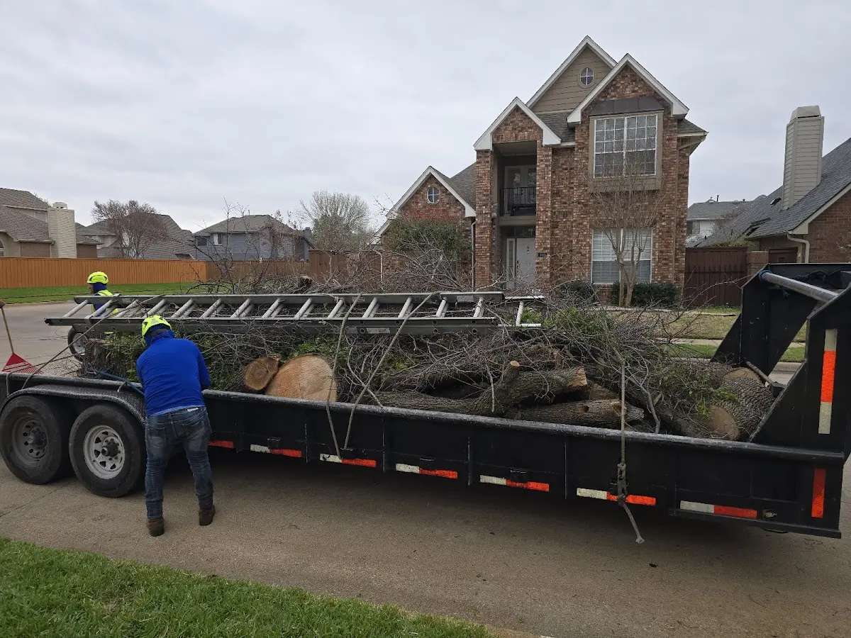 Expert Lot Clearing with proper safety equipment in Ardmore